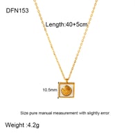 DFN153 Bild5