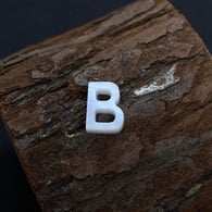 B Picture26
