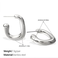 EH1038S Silver Earrings Picture2