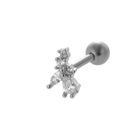 040—Silver Picture2