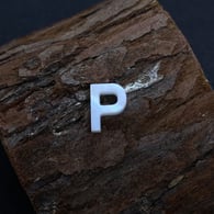 P Picture12