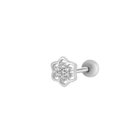6# Silver Picture14