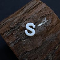 S Picture9