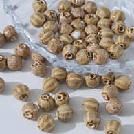 Zucca piccola (10 mm) Immagine13