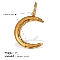 PJ539G Gold Pendant Picture9