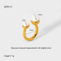 DFR117 Image2