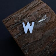 W Picture5