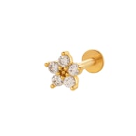 037 - Gold Picture4