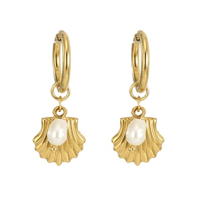 Orecchini pendenti in acciaio inossidabile color oro con conchiglia h5 