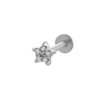 037—Silver Picture11