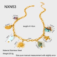 NXN53 