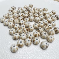 Anguria al caffè latte (9×11 mm) Immagine20
