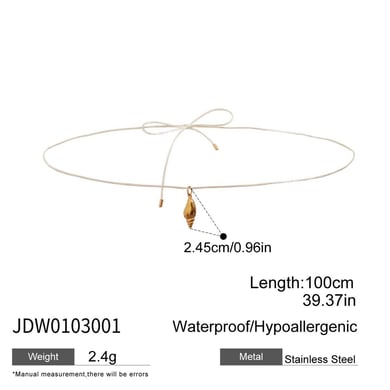 Ins Style Stainless Steel  Gold Color Shell Waist Chains h5 