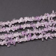 Lavendel Bild15