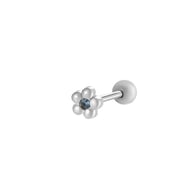 7# Silver Picture12