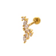 040—Gold Picture13