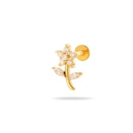 0169-10#Gold Picture3