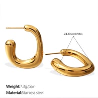 EH1038G Gold Earrings 