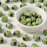 Cane verde Immagine2