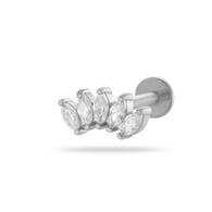 0169-8#Silver Picture6