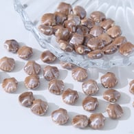 Conchiglia (12×13mm) Immagine34
