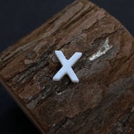 X Picture4