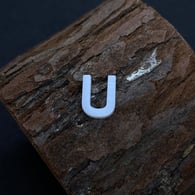 U Picture7