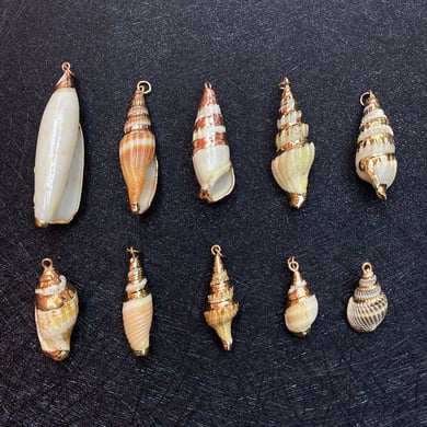 1 Piece Sea Shells Gold Color Women's Pendants h5 Picture5