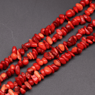 Rote Koralle Bild47