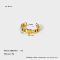 DFR301 Imagen9