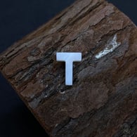 T Picture8