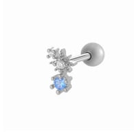 018—Silver 