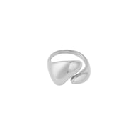 silver color Image2