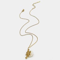 Collar de langosta de oro 