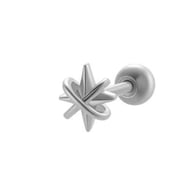 026—Silver Picture6