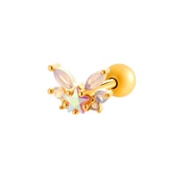 025—Gold Picture14