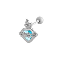 023—Silver Picture5