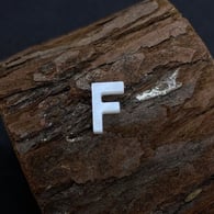 F Bild22