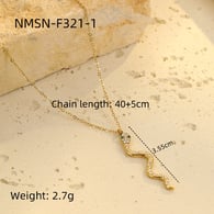 NMSN-F321-1 