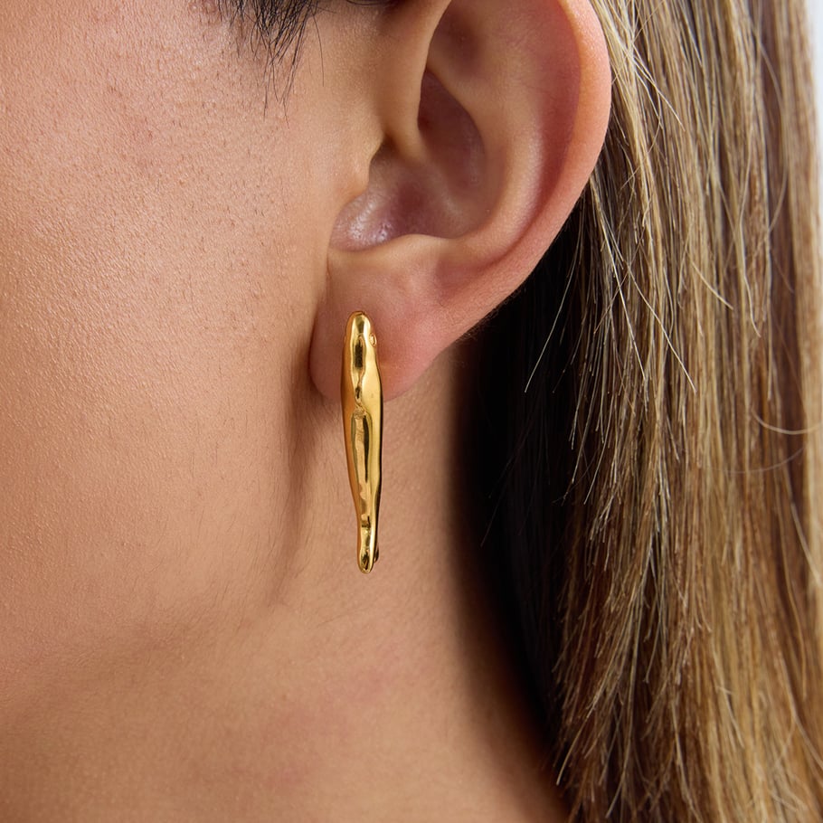 1 paire de boucles d&#39;oreilles créoles en acier inoxydable doré pour femme, motif poisson d&#39;été Image3