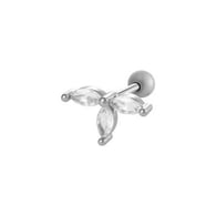 024-2# Silver Picture4