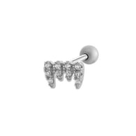 017 – Silber Bild2