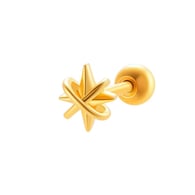 026 - Gold Picture14