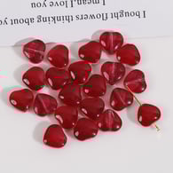 fuchsia Resim3