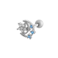 023—Silver Picture4