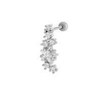 Silber 6# Bild6