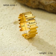 NMSR-H248-1 