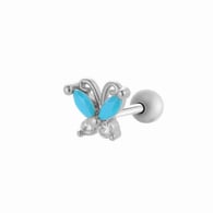 019—Silver Picture2