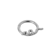 8MM-Silber Bild2