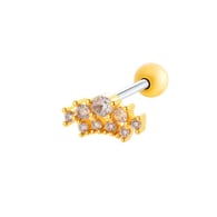 022—Gold Picture12